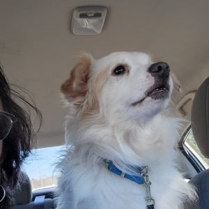 Meet your Posher, Lorena